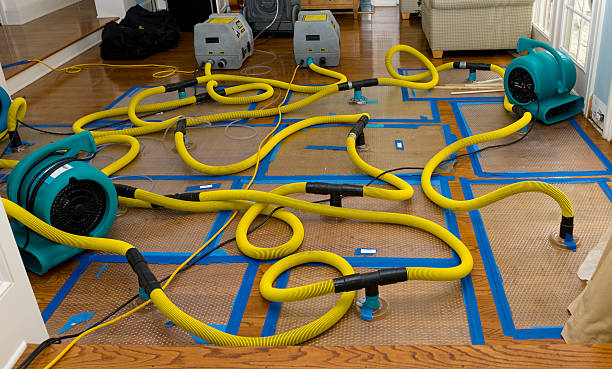 Professional Basement Flood Cleanup technician working in Defiance, MO